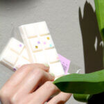 Paschalia Snap Bar - Image 2